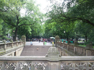 擁擠公園中的石階梯，有綠樹和行走的人們。