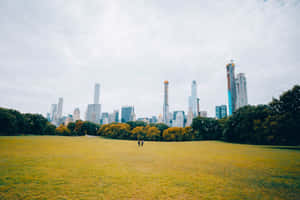 兩個人在大草地上行走，背景是城市天際線。 — 城市景觀 壁紙