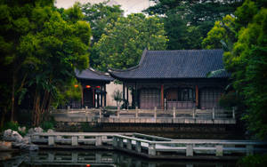 傳統木造亭子，曲線屋頂，位於平靜池塘旁，四周環繞著茂密的綠樹。 — 唐人街 GIF 壁紙