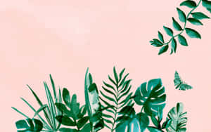 粉紅色水彩背景上的熱帶綠色葉子和蝴蝶 — 美學 壁紙