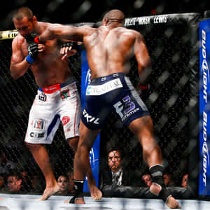 兩名MMA拳手在籠中比賽時互相出拳。