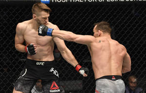 兩名戴著MMA手套的男性拳手在八角形鐵籠內互相出拳。 — 搏擊會 GIF 壁紙