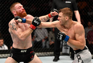 兩名戴著MMA手套的男性拳手在八角籠內互相出拳。