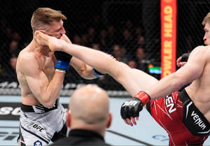 MMA拳手在八角籠中向對手面部踢出高踢