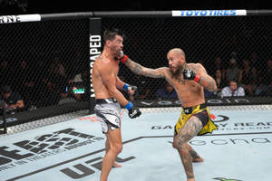 兩名男性拳手在MMA籠中激烈比賽中互相出拳。 — 拳擊 壁紙