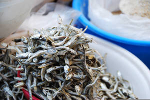 乾鳳尾魚堆放在白色市場碗中，旁邊有藍色容器。 — 美食 壁紙