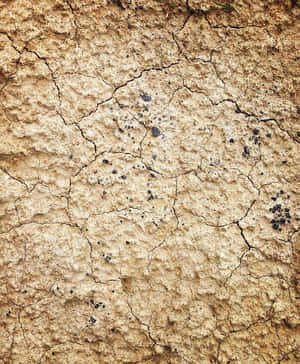 乾燥龜裂的土地，帶有深色斑點和粗糙質感。
