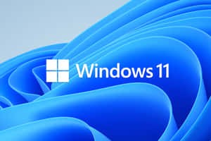 Windows 11 標誌在流動的藍色波浪背景上