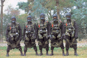 五名身穿全套裝備和防毒面具的士兵在戶外排成一列。 — 軍事動圖 壁紙