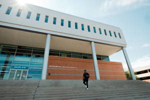 學生在陽光明媚的日子裡走上亞利桑那大學 McClelland Hall 的階梯。