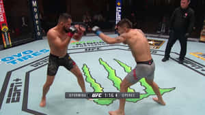 UFC比賽中八角籠內的兩名MMA拳手。