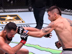 兩名男性MMA拳手在UFC比賽中於鐵籠賽內互相出拳。