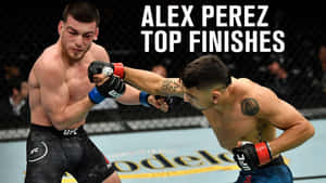 兩名男性拳手在UFC鐵籠內於比賽中交換一拳。