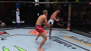 兩名MMA拳手在現場賽事中於八角籠內交戰。