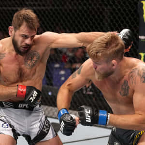 兩名男性MMA拳手在籠中比賽