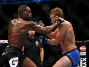 兩名男拳手在鐵籠中進行綜合格鬥比賽時互相出拳。