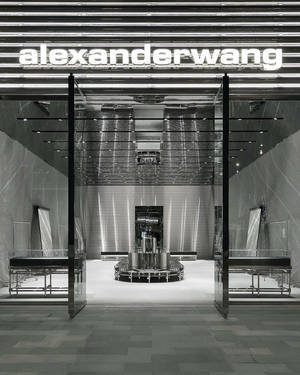 Alexander Wang 店舖入口，配玻璃門和金屬內部。