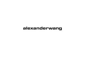 黑色小寫文字 alexanderwang 居中於白色背景上。