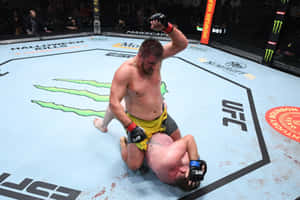 UFC拳手在八角籠中制服對手後慶祝勝利。