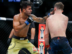 兩名戴著MMA手套的男性拳手在八角形鐵籠內互相出拳。