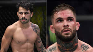 兩名紋身男性MMA拳手在八角籠中，一人臉上帶血。