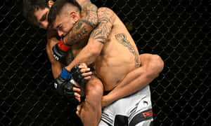 兩名男拳手在MMA籠內鎖定纏鬥姿勢。