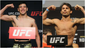 兩名男性UFC拳手在過磅活動中展示肌肉。