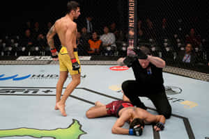 UFC拳手勝利地站在倒下的對手之上，裁判正在檢查他。