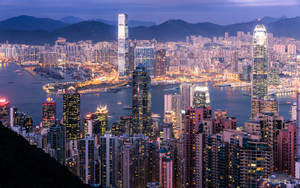 香港黃昏城市景觀，燈火通明的摩天大樓和港口。 — 唐人街 GIF 壁紙