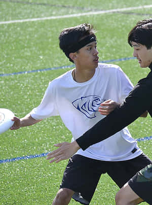 兩名運動員在陽光明媚的日子裡進行飛盤比賽。 — 3:4 壁紙