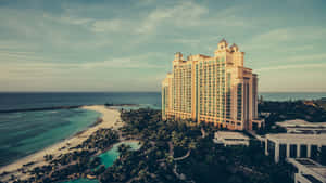 豪華海灘度假村，棕櫚樹和碧綠的海水。