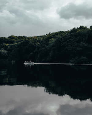 亞馬遜背景 — Amazon 壁紙