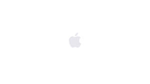 白色背景上的灰色 Apple 標誌