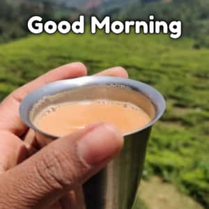 手在綠茶園前拿著一個金屬杯的茶。 — 青綠色 GIF 壁紙
