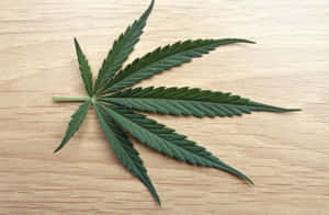 木質表面上的大麻葉