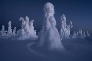 暮色天空下白雪覆蓋的冰凍樹木