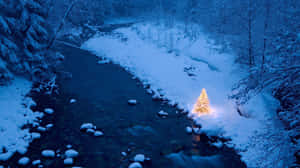 一棵發光的聖誕樹在雪覆蓋的河邊，夜晚的冬季森林中。