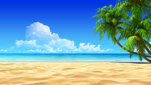 熱帶海灘，有棕櫚樹、海洋和藍天 — 2560x1440 壁紙