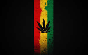 黑色大麻葉在紅黃綠條紋上，背景深色紋理。