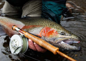 漁夫在河中手持虹鱒魚，配備飛釣裝備。