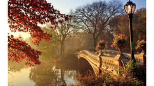 秋天公園中水面上的石橋，有紅葉同發光嘅燈。