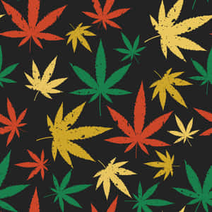 深色背景上色彩繽紛的紅色、黃色和綠色大麻葉。
