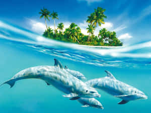 海豚喺有棕櫚樹嘅熱帶島嶼附近游水。