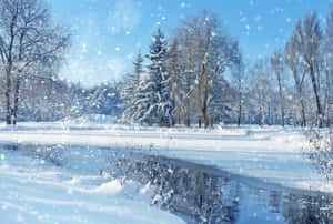 冬日晴朗的藍天下，白雪覆蓋的樹木和結冰的河流。