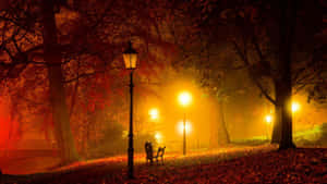 夜晚寧靜的公園，路燈閃爍，落葉散落在薄霧秋樹下。 — 溫暖 壁紙