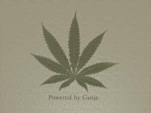 大麻葉剪影，附有「Powered by Ganja」文字，置於有紋理的米色背景上。