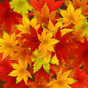 紅色、黃色和橙色的秋葉以密集圖案重疊。