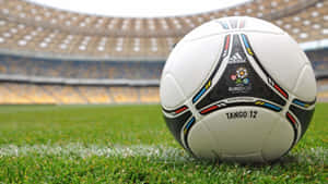 體育館草地上嘅官方 Euro 2012 足球