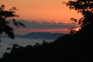 樹木剪影框住的霧氣山脈上的夕陽