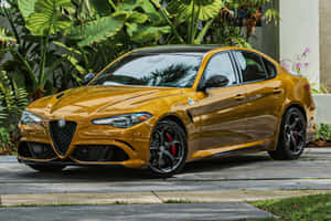金色Alfa Romeo轎車停在石徑旁的熱帶植物邊。